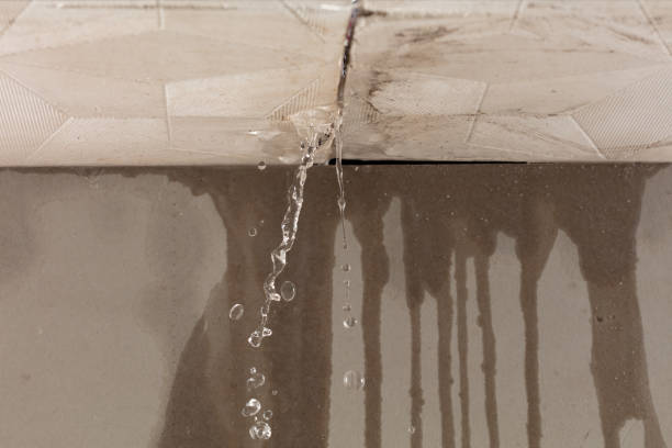 Professional Flood Damage Cleanup technician working in Tontogany, OH